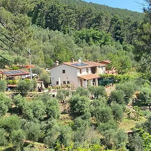 Rivolta Appartamento